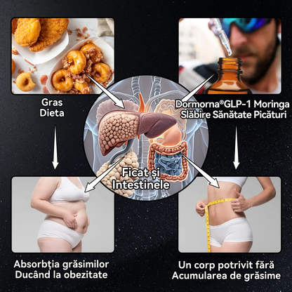 𝐃𝐨𝐫𝐦𝐨𝐫𝐧𝐚® GLP-1 Moringa Slăbire Sănătate Picături( 👨‍⚕️Arzător de grăsimi de calitate alimentară - Dezvoltat de Societatea Obezității)